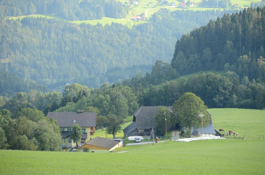 Appartement Huberhof Im Almenland à Sankt Kathrein am Offenegg Extérieur photo